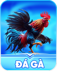 đá gà